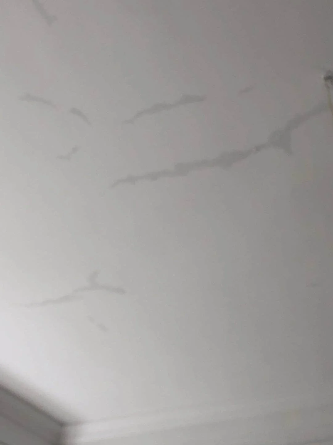 墙砖坏了怎么办视频(墙砖坏了怎么补救方法)